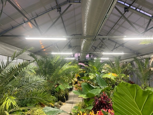 gallery grid image
